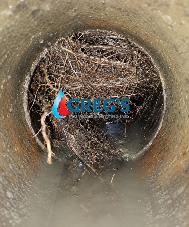 A sewer camera does more than confirm